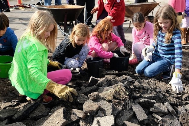 The Yorkview Elementary School community transformed a 172-square-metre section of asphalt playground into a green learning space that will help improve storm water management.