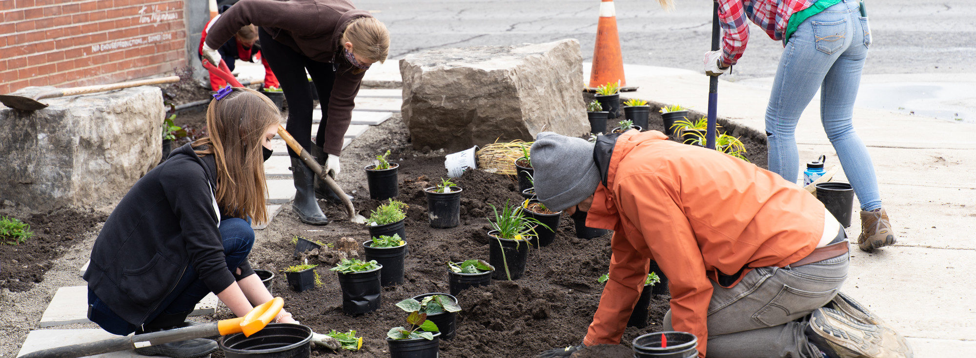 Four volunteers planting native plants at a community demo sites