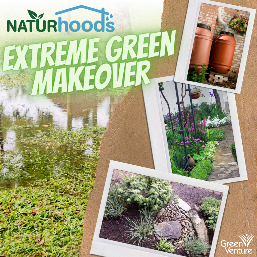 NATURhoods Extreme Green Makeover with photos of green infrastructure examples