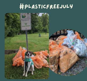 Text reads: #PlasticFreeJuly. An image of a dog in front of several bags of trash. Several bags of trash and recycling piled on the sidewalk.