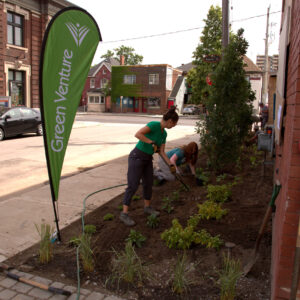 GV Staff and volunteers planting at 539 Barton St E