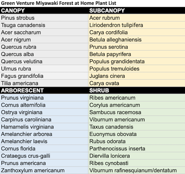 List of plant species