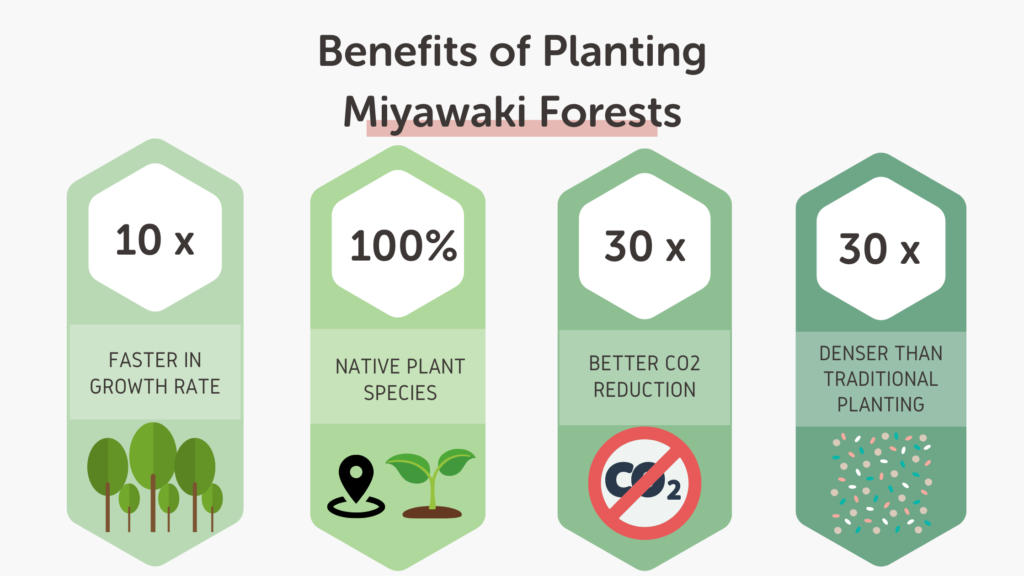 Text saying "Benefits of Planting Miyawaki Forests" with infographics describing them.