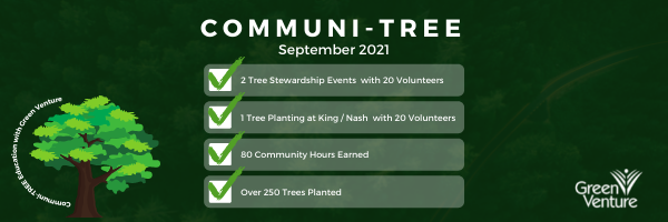 Communi-Tree Header - Website