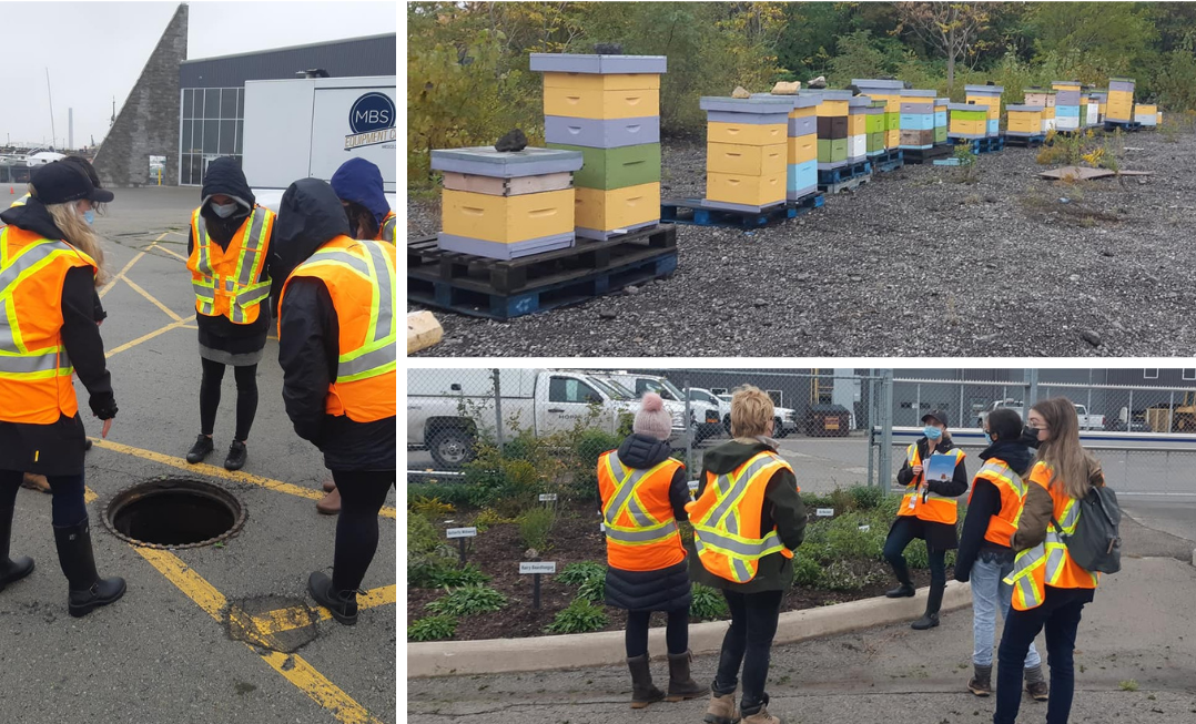Grid of 3 photos. On left, Hamilton-Oshawa Port Authority staff showing Community Water Leaders the inside of a storm sewer. Right: Bee hives and pollinator garden on HOPA property