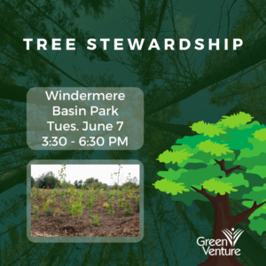 Title: Tree Stewardship. Where: Windermere Basin Park. When: Tuesday, June 7 from 3:30 PM to 6:30 PM
