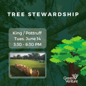 Title: Tree Stewardship. Where: King and Pottruff. When: Tuesday, June 14 from 3:30 PM to 6:30 PM