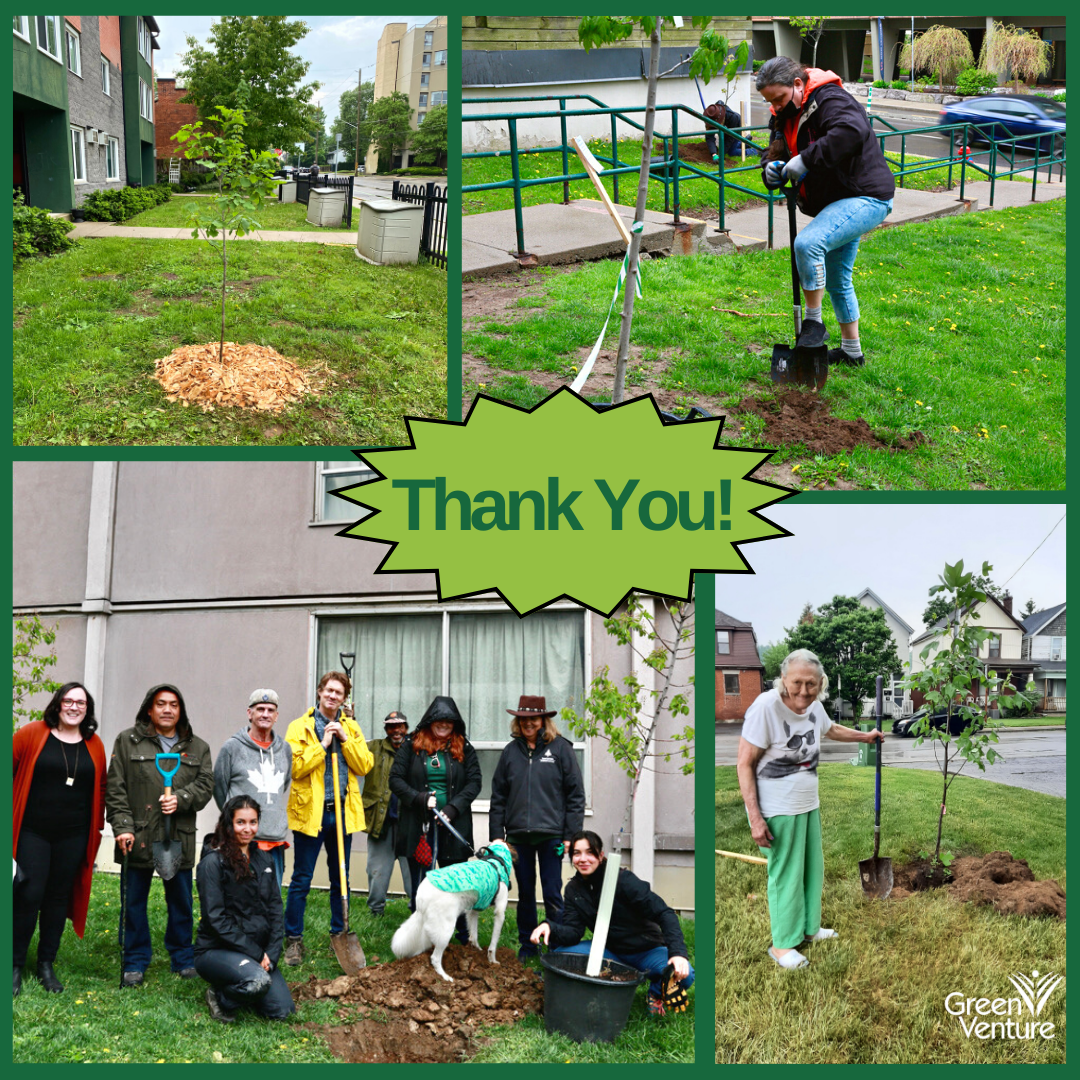 Various pictures from the tree planting event with text saying 'thank you'