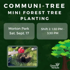 Description of Mini Forest Planting Event