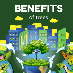 Text: Benefits of Trees