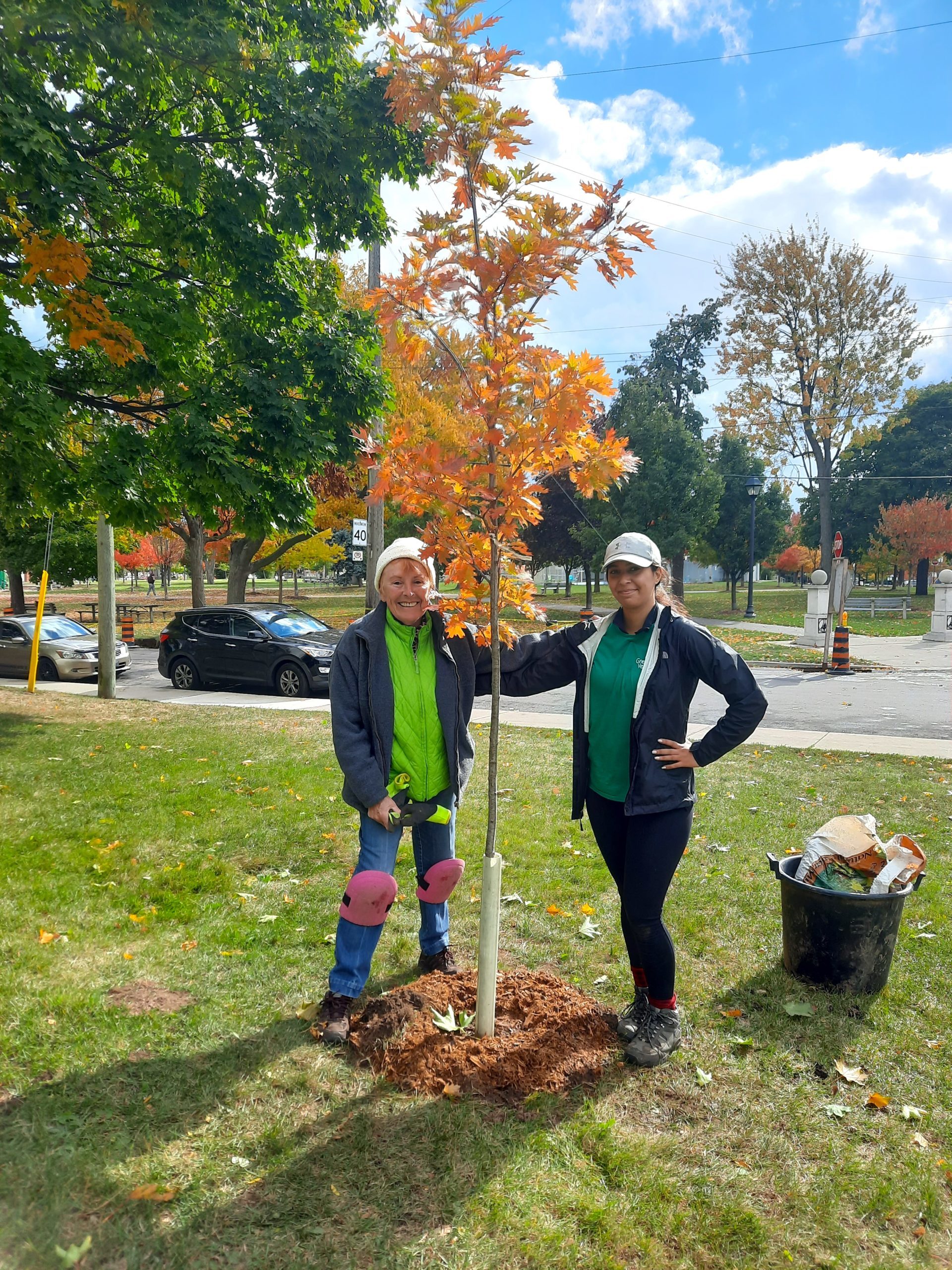 Green Venture staff and tenant volunteer standing beside recently planted red oak tree