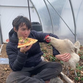 Akira sitting in polytunnel for winter crop production, eating veggie pizza and pushing away a chicken which somehow arrived on campus and needed supervision before being relocated to a professor’s hobby farm.