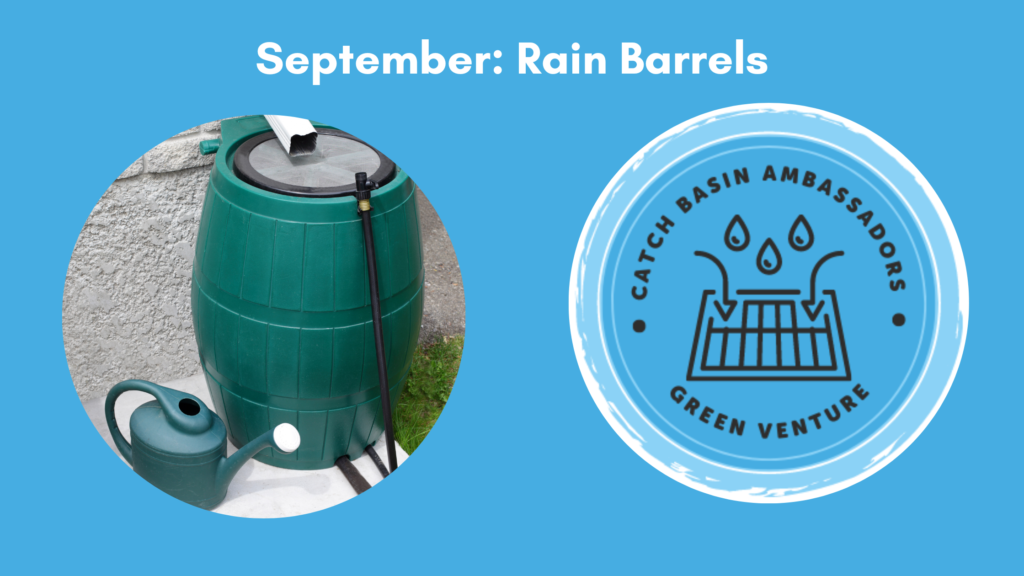 Blue banner that reads "September: Rain Barrels" followed by two circular photos: one of a rain barrel and one of the Catch Basin Ambassadors Program logo.