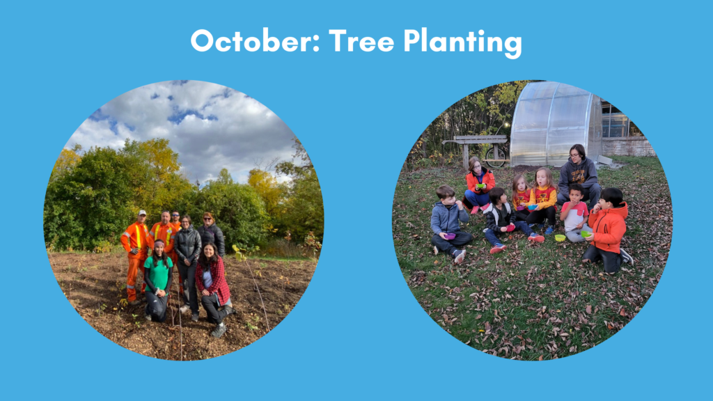 Blue banner that reads "October: Tree Planting" followed by two circular photos: one of Green Venture and City of Hamilton staff at a public tree planting, and one at EcoHouse with a group of children learning about trees.