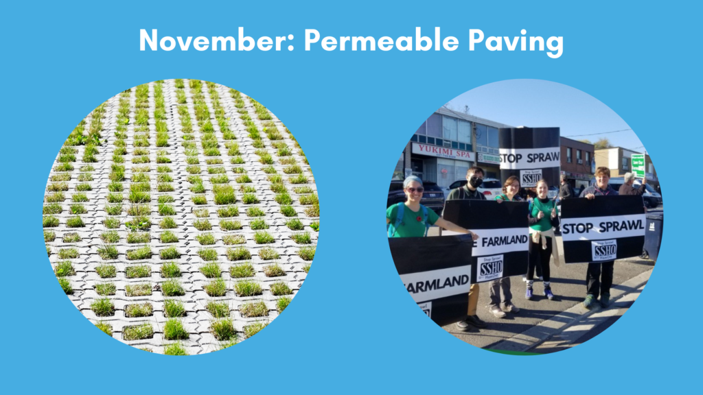 Blue banner that reads "November: Permeable Paving" followed by two circular photos: one of permeable pavers and one of Green Venture staff and co-op students holding "stop sprawl" signs at a Bill 23 protest.
