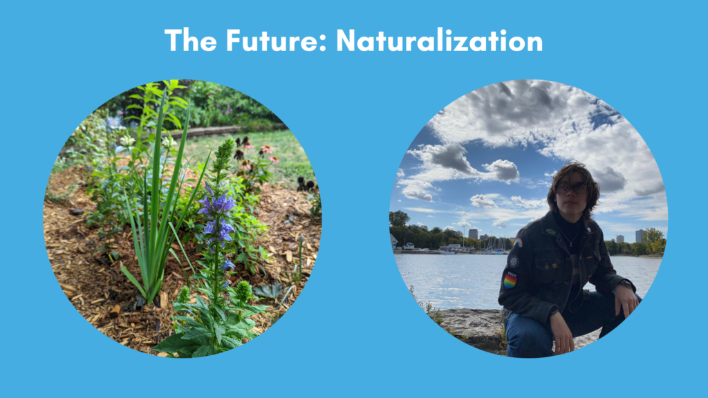 Blue banner that reads "The Future: Naturalization" followed by two circular photos: one of plants in a rain garden, and one of co-op student, Lucas, in front of a body of water and clear sky.
