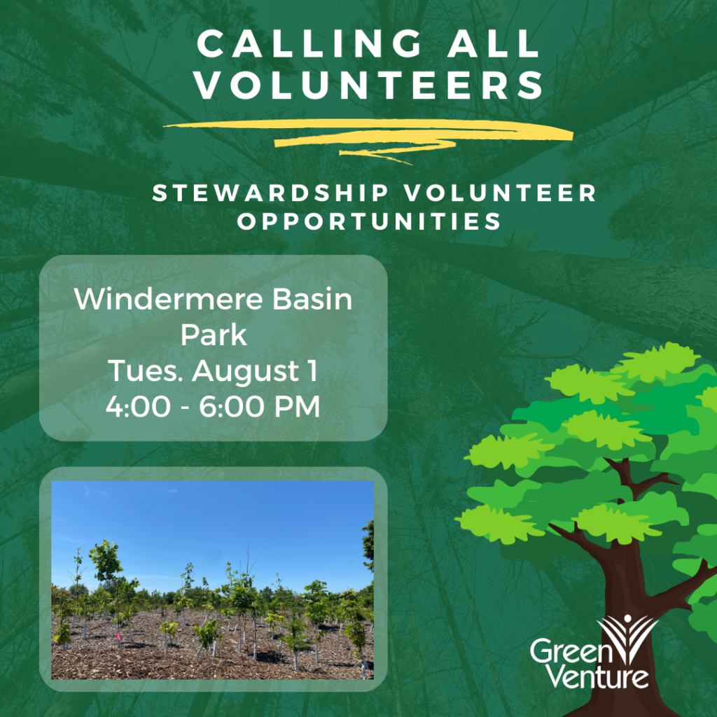 Description of volunteer opportunity on a green background