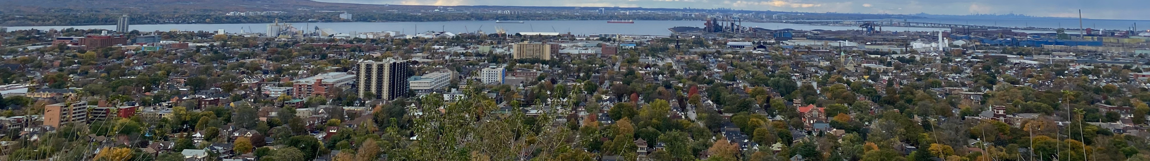 Picture of the City of Hamilton