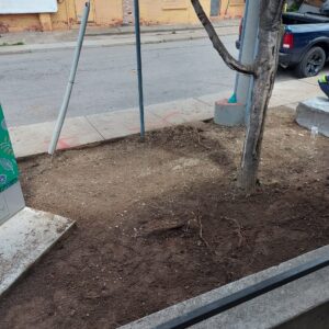 A plot of soil beside the sidewalk