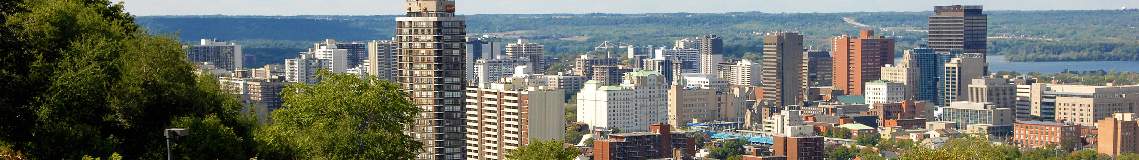 Picture of the City of Hamilton