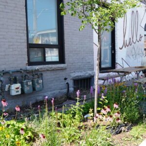 a blooming sidewalk garden beside hello baked bakery