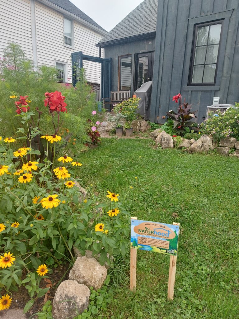 Rain garden with NATURhoods sign prominent displayed next to native plants