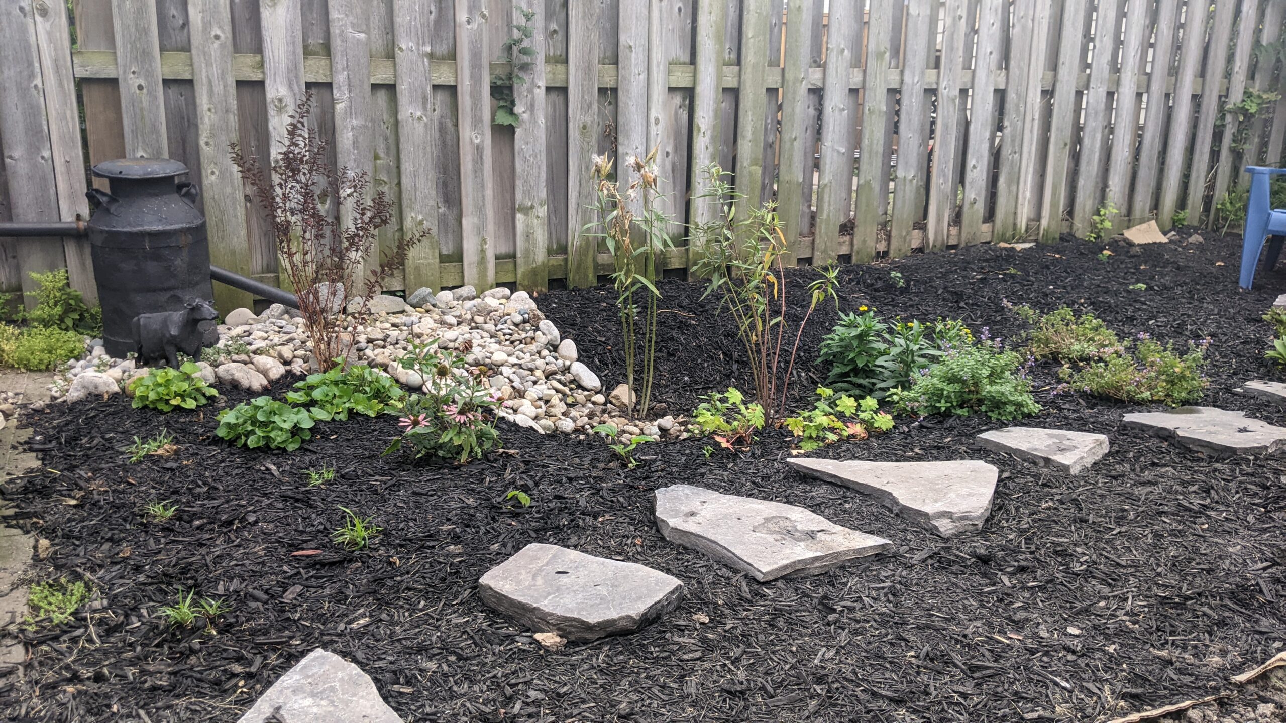 rain garden in front of a fence, has a small rain swale and stepping stones
