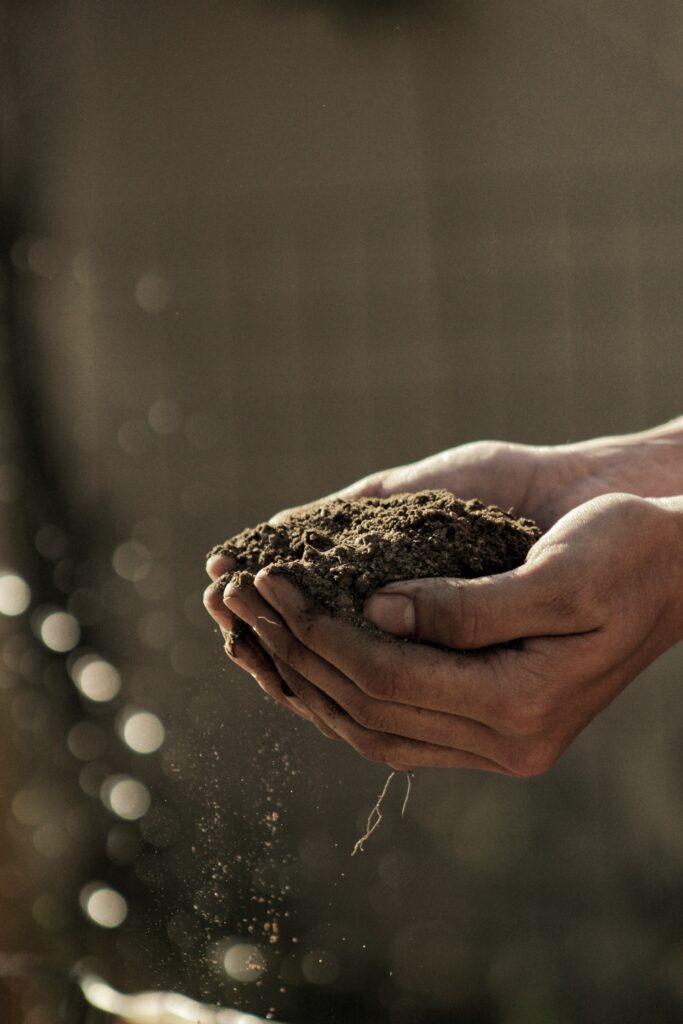 There are two hands cupping soil in front of a blurred background. 