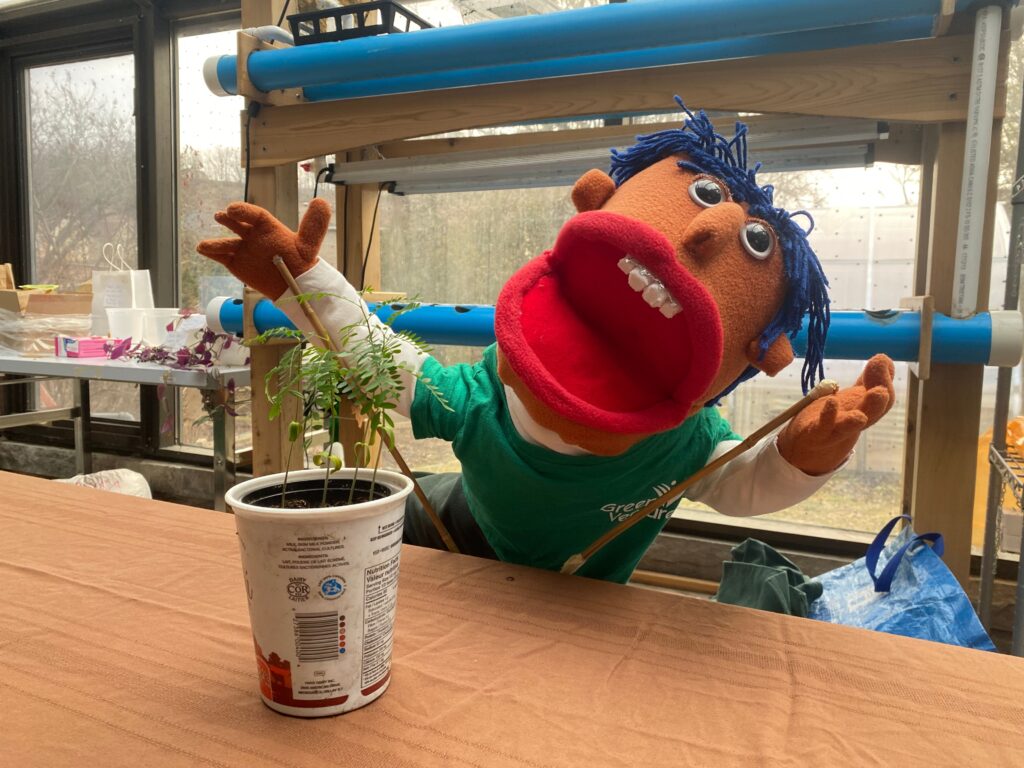 River shows a plant growing from a reused food container
