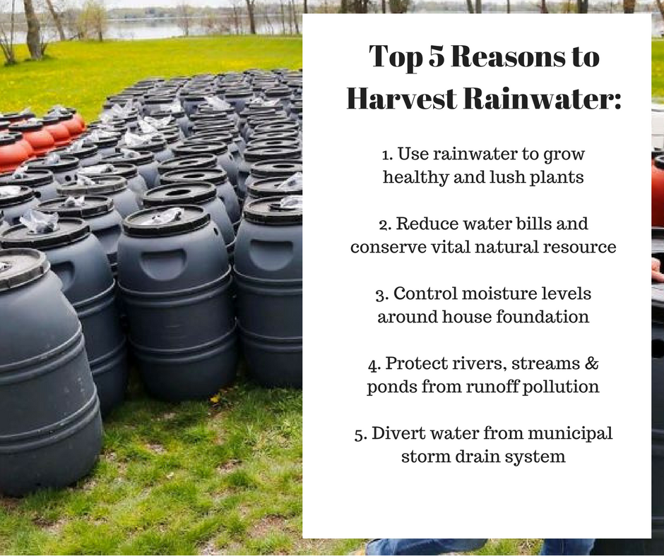Top 5 Reasons to Harvest Rainwater: 1. Use rainwater to grow healthy and lush plants 2. Reduce water bills and conserve vital natural resource 3. Control moisture levels around house foundation 4. Protect rivers, streams and ponds from runoff pollution 5. Divert water from municipal storm drain system