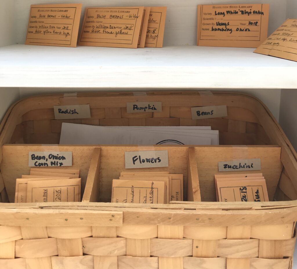 Inside of EcoHouse outdoor seed library. There are two shelves, the top shelf has unsorted seeds and the bottom shelf has a basket with seed sorted by type