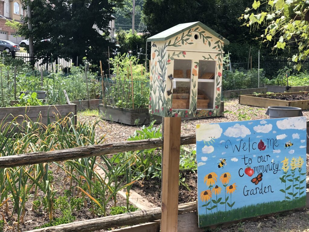 EcoHouse's outdoor seed libary, a wooden structure in front of a garden that has a glass on the front showing seed packets inside